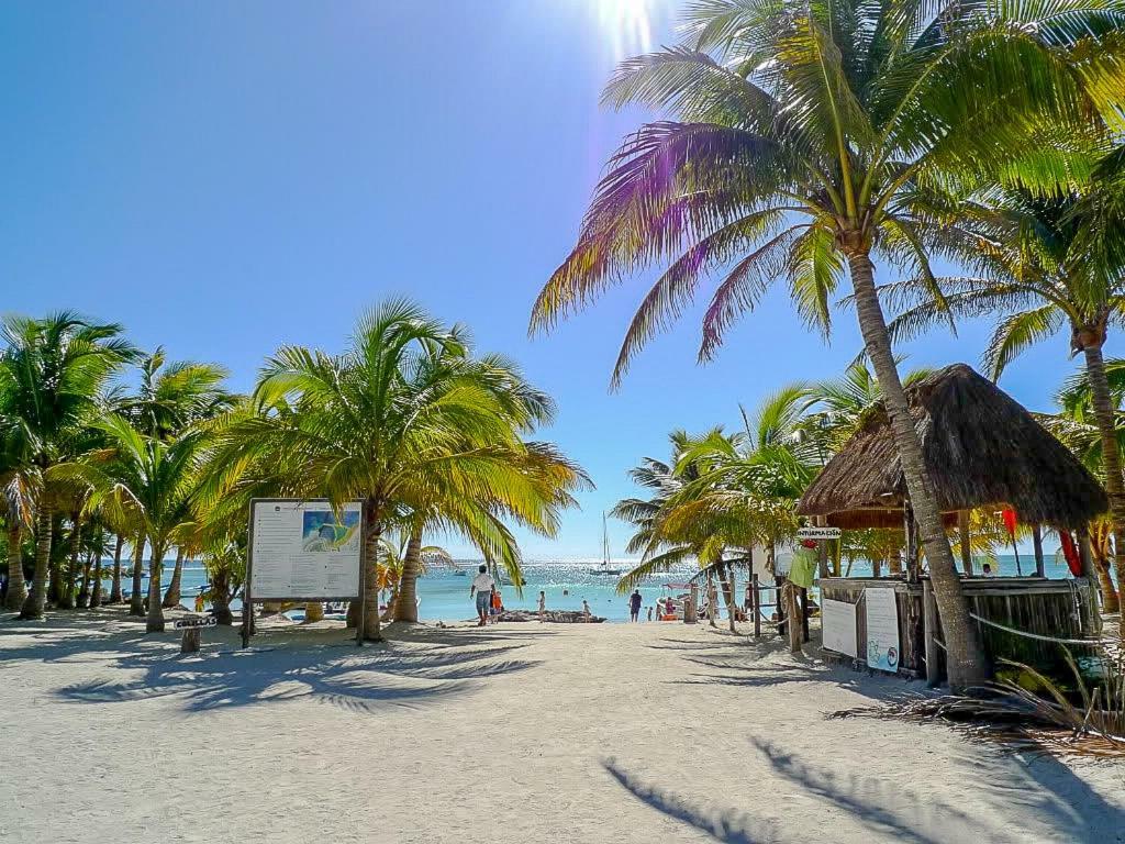 Apartments In Gated Residential Within Bahia Principe Grounds Akumal Buitenkant foto